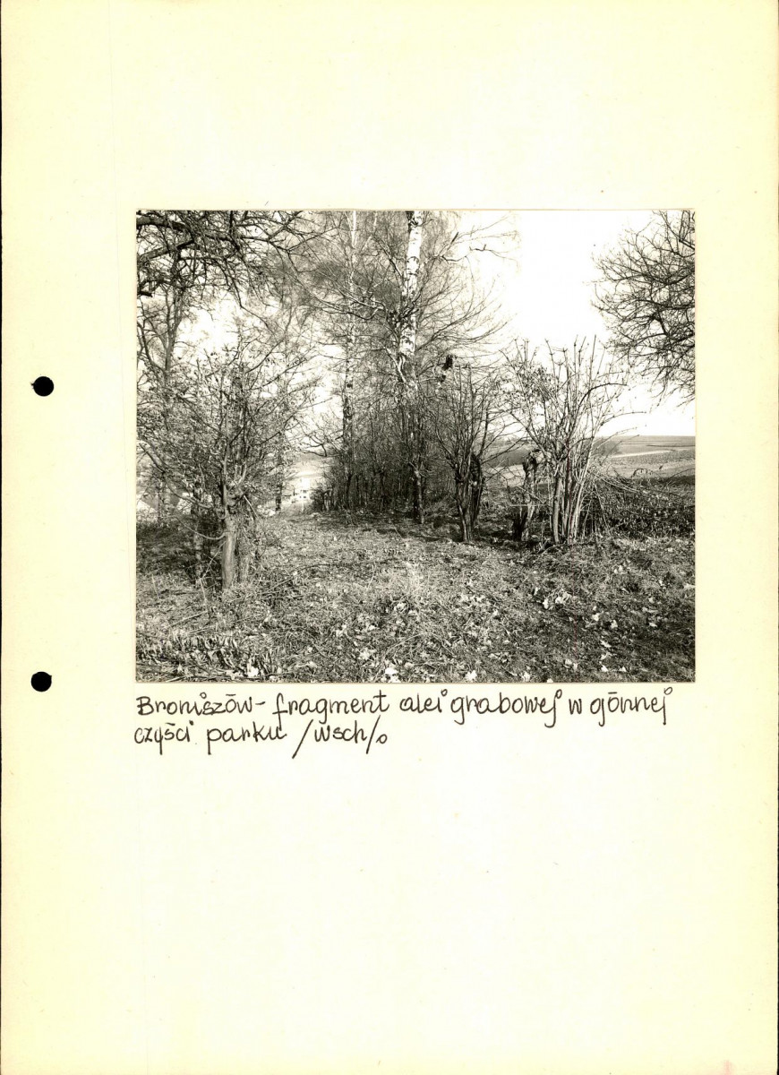 EP - Ewidencja parkowa, skan nr 43