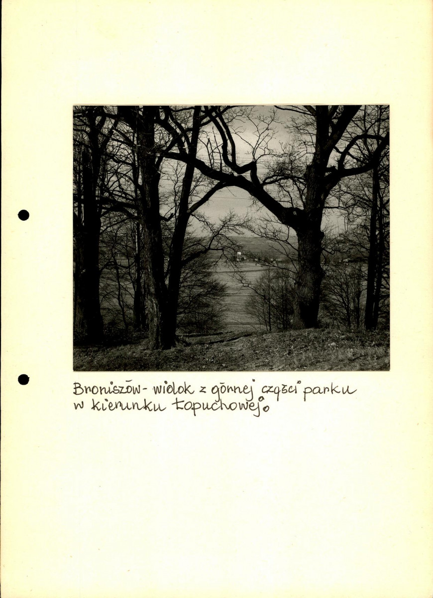 EP - Ewidencja parkowa, skan nr 46