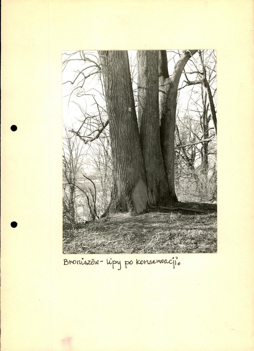 EP - Ewidencja parkowa, skan nr 47