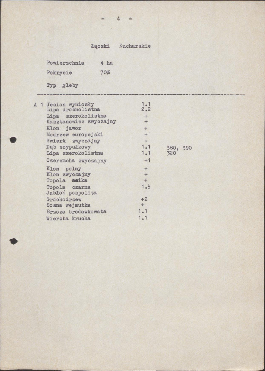 Ewidencja parkowa, skan nr 6