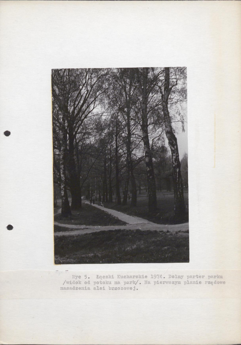 Ewidencja parkowa, skan nr 14