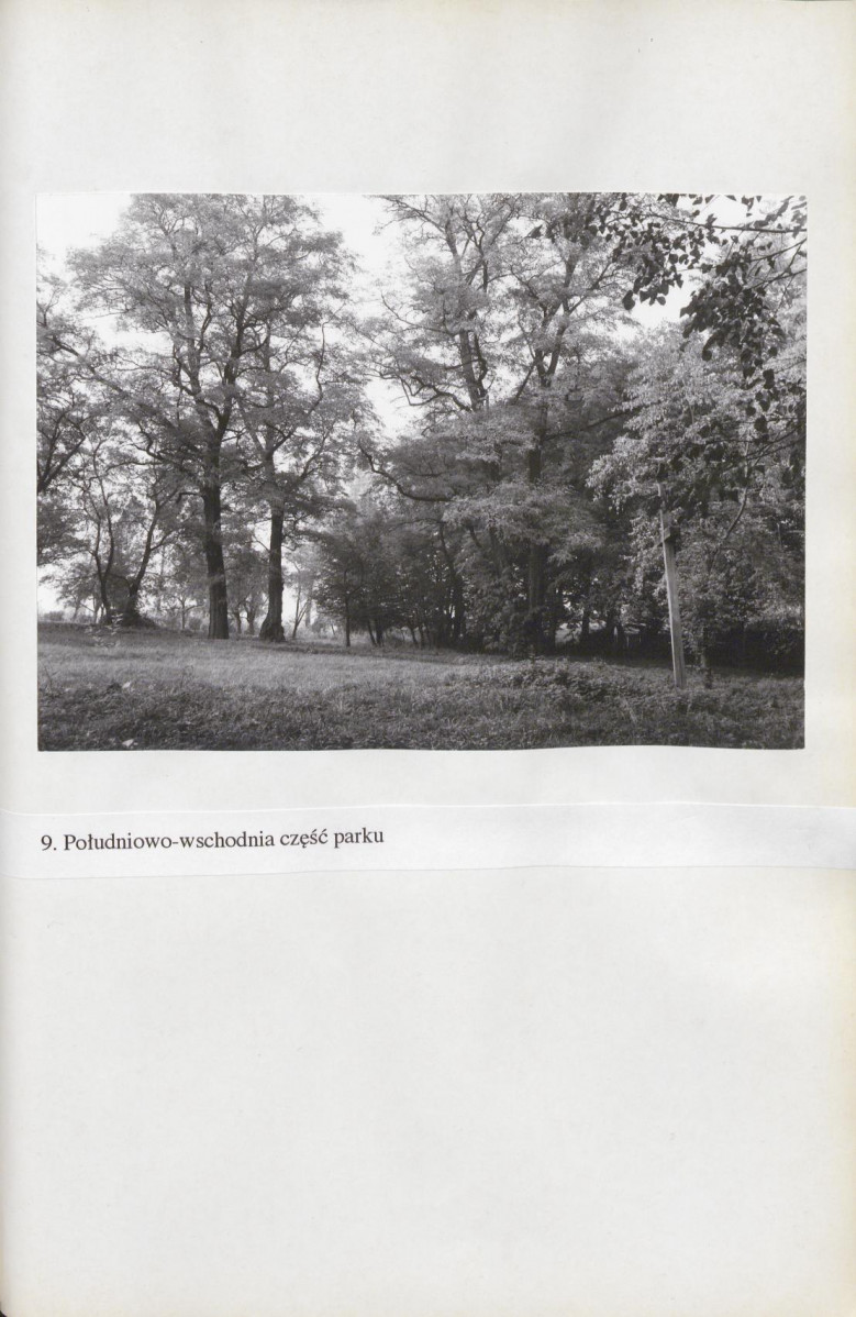 Ewidencja parkowa, skan nr 81