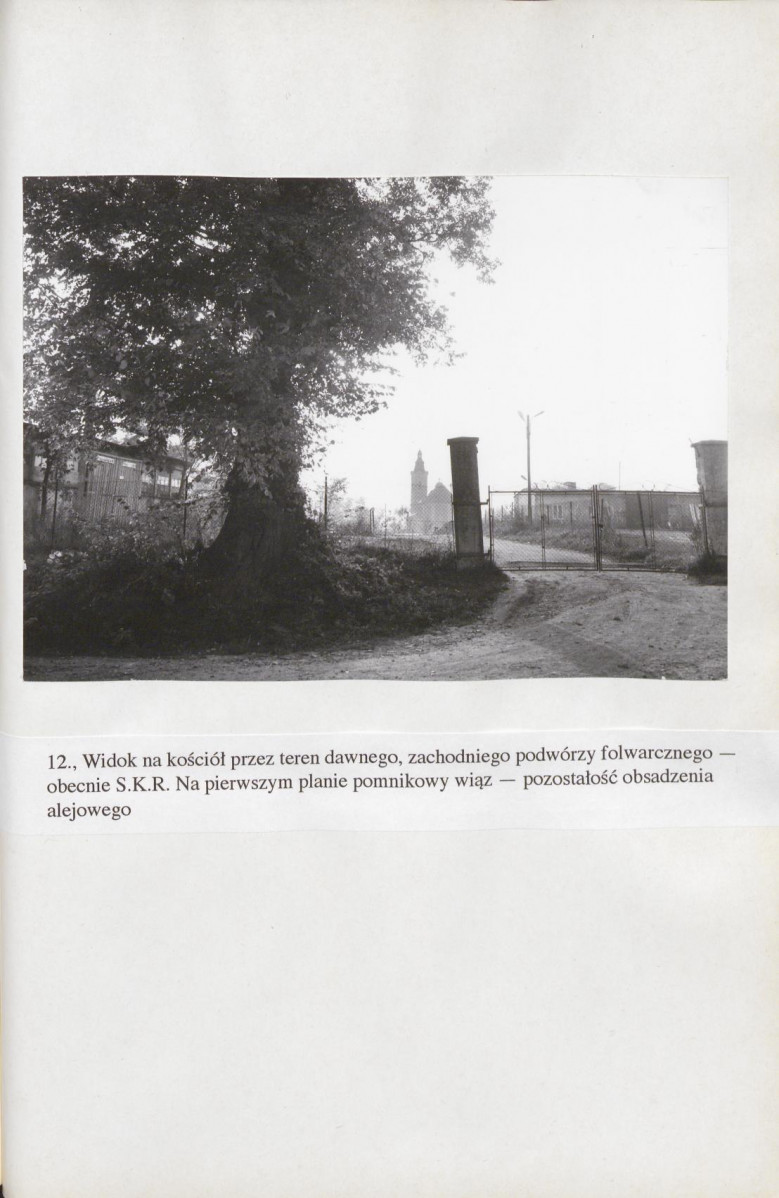 Ewidencja parkowa, skan nr 84