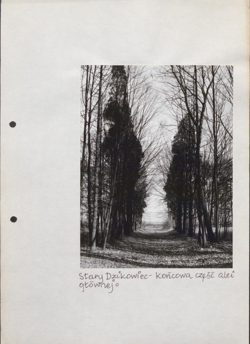 EP - Ewidencja parkowa, skan nr 39