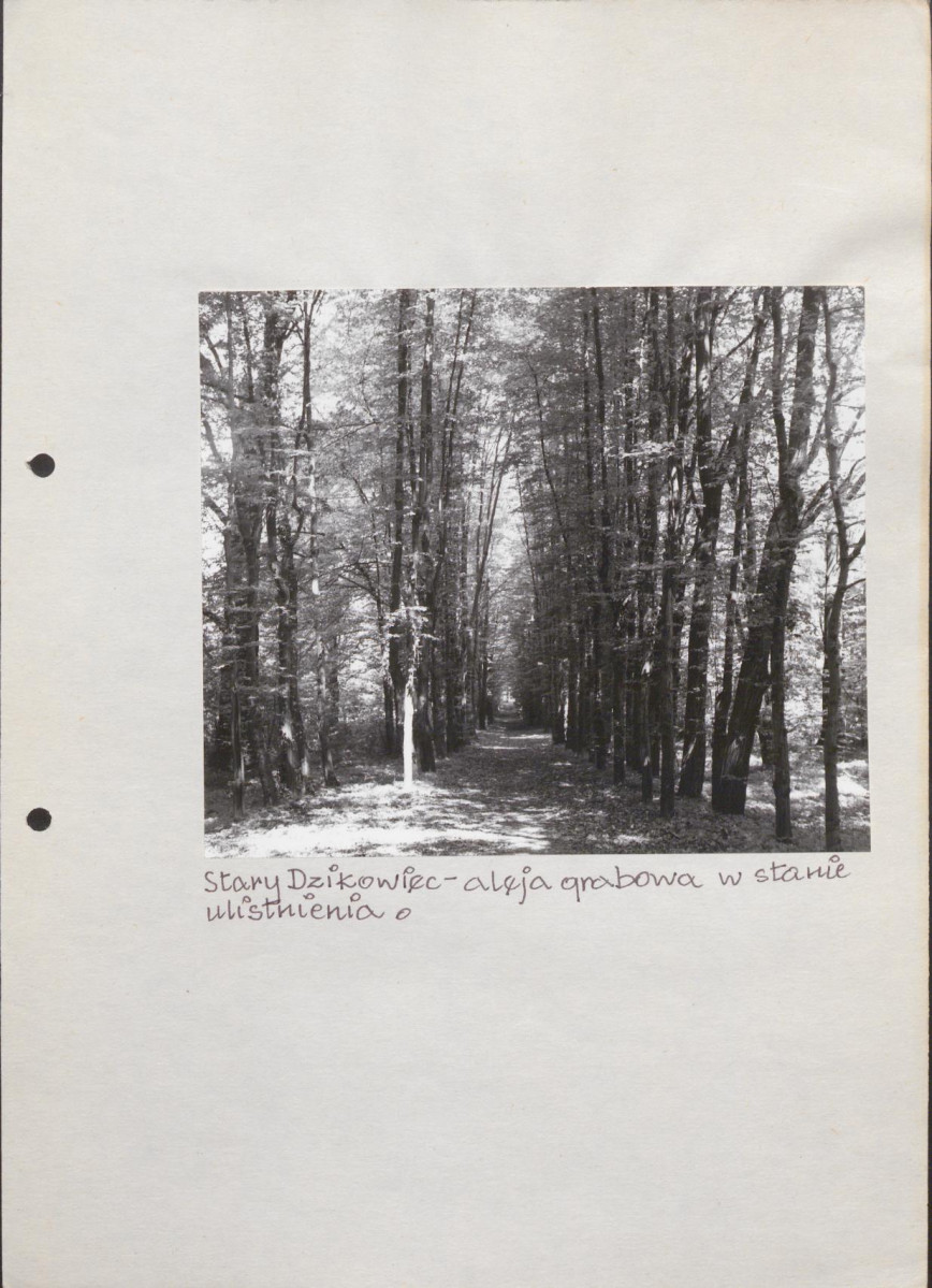 EP - Ewidencja parkowa, skan nr 40