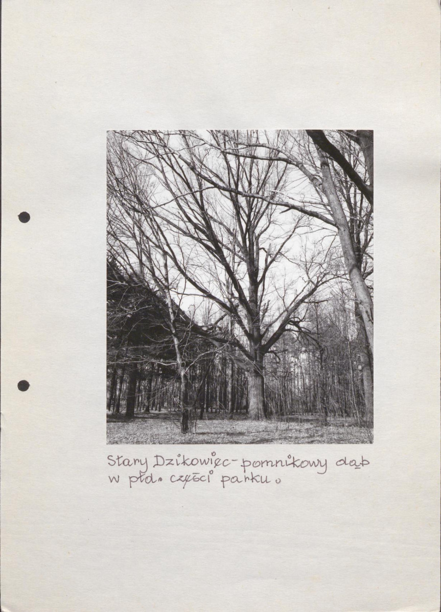 EP - Ewidencja parkowa, skan nr 44