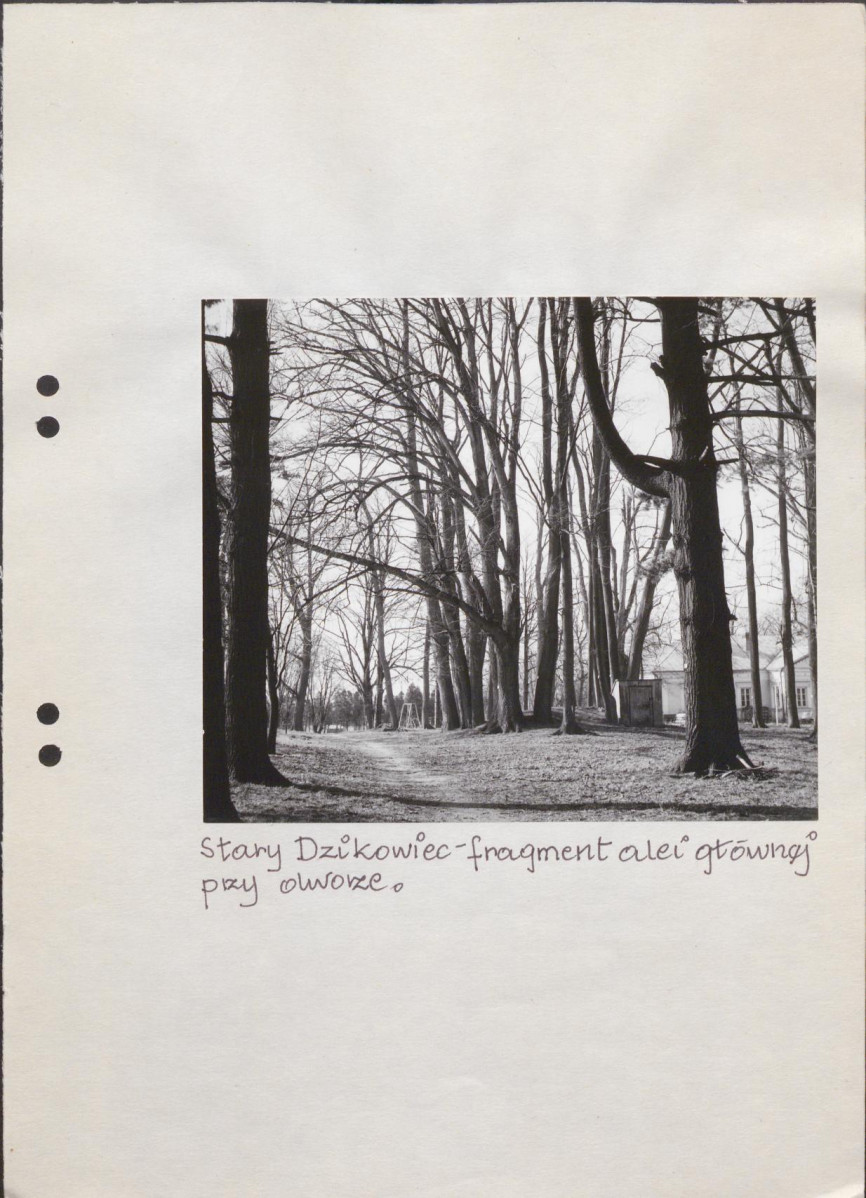 EP - Ewidencja parkowa, skan nr 49