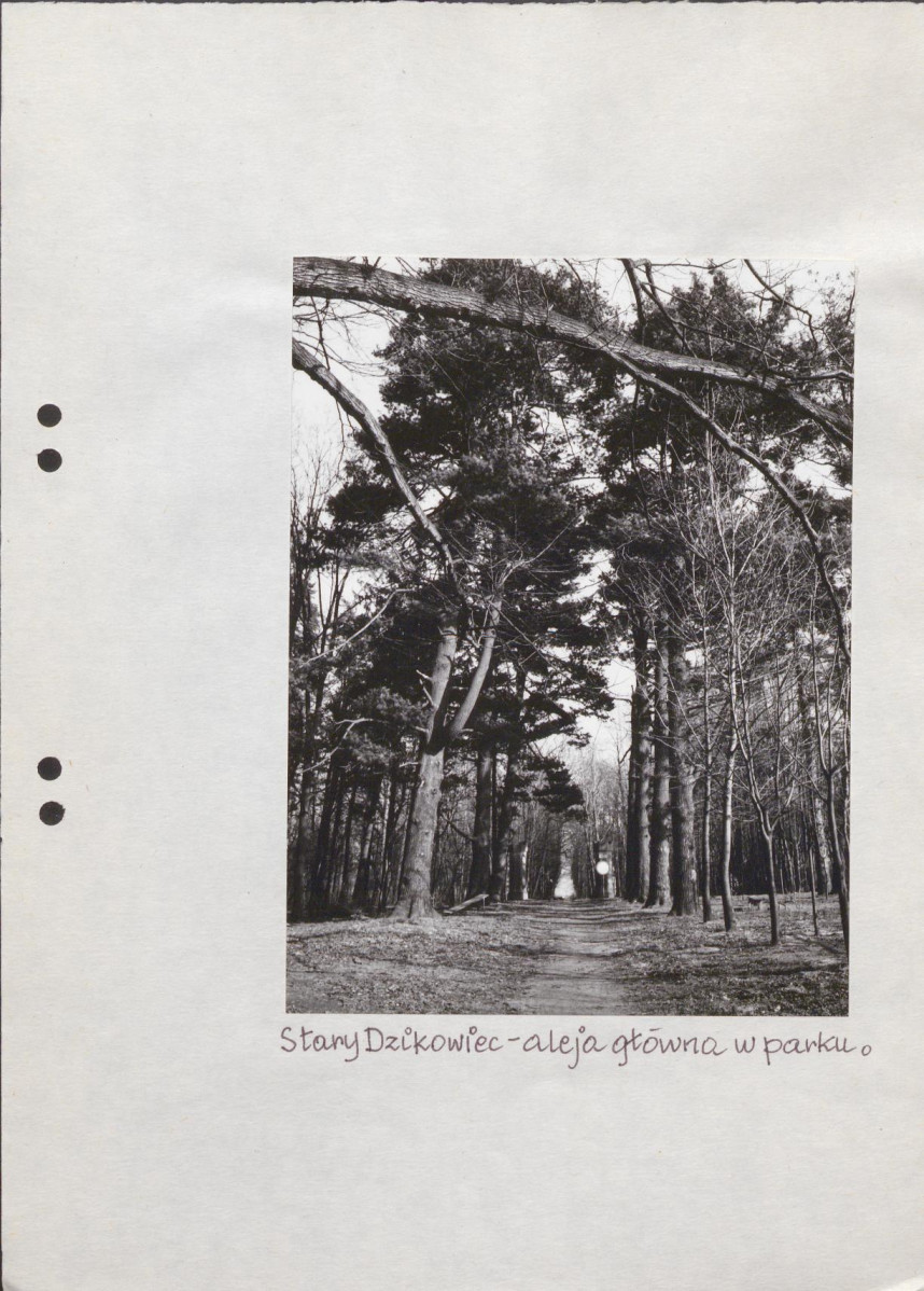 EP - Ewidencja parkowa, skan nr 50