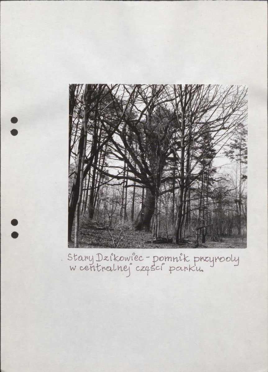 EP - Ewidencja parkowa, skan nr 52