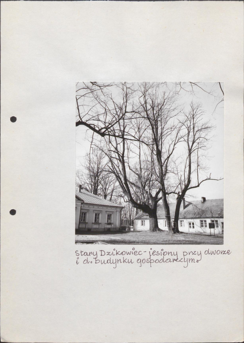 EP - Ewidencja parkowa, skan nr 53