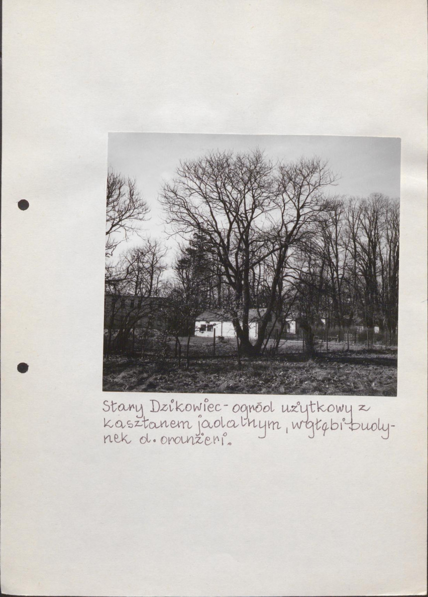 EP - Ewidencja parkowa, skan nr 54