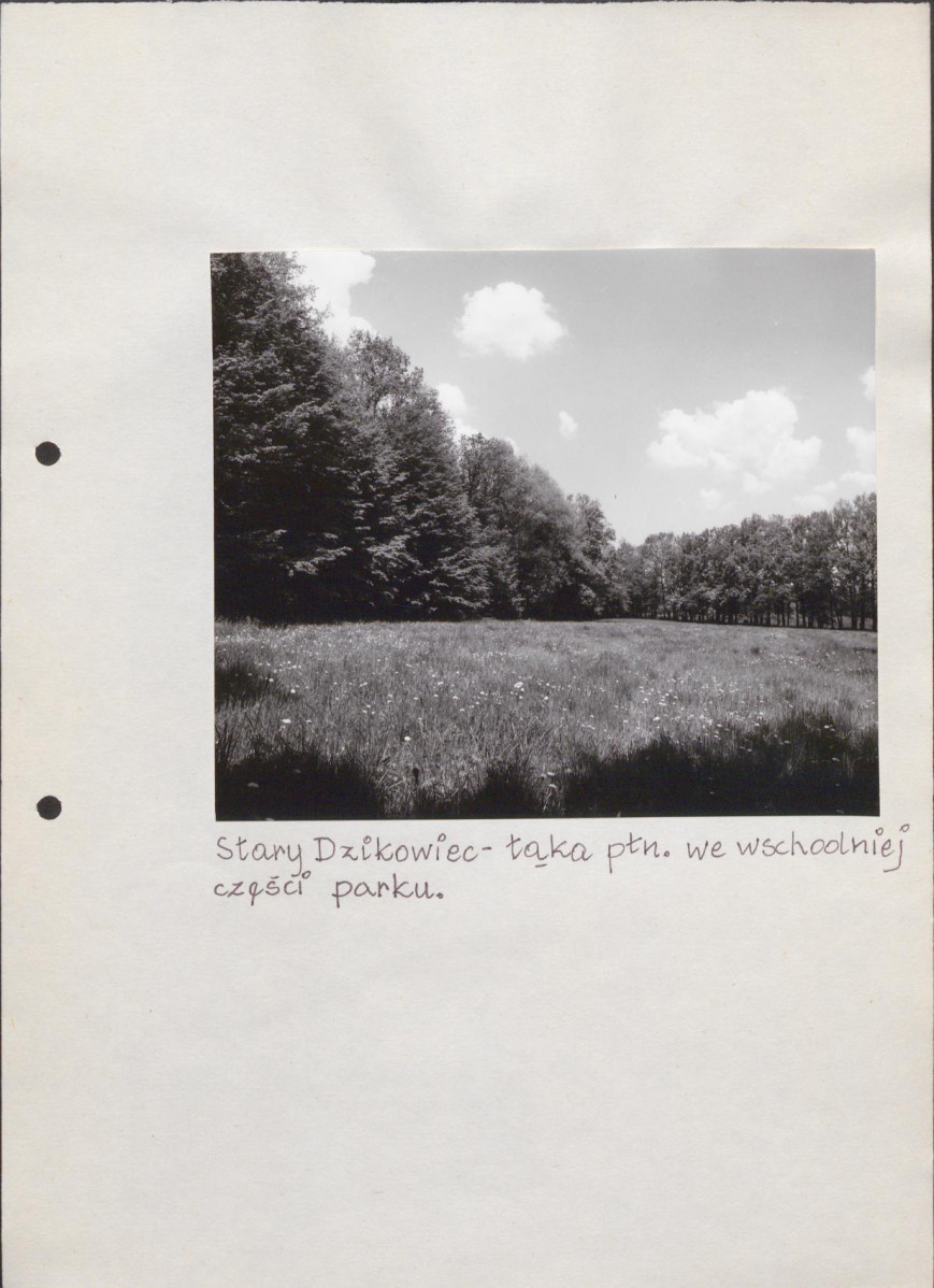 EP - Ewidencja parkowa, skan nr 58