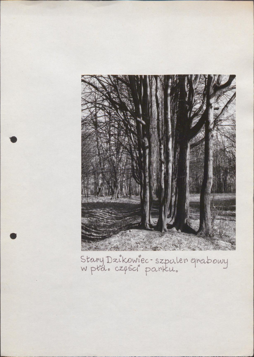 EP - Ewidencja parkowa, skan nr 60