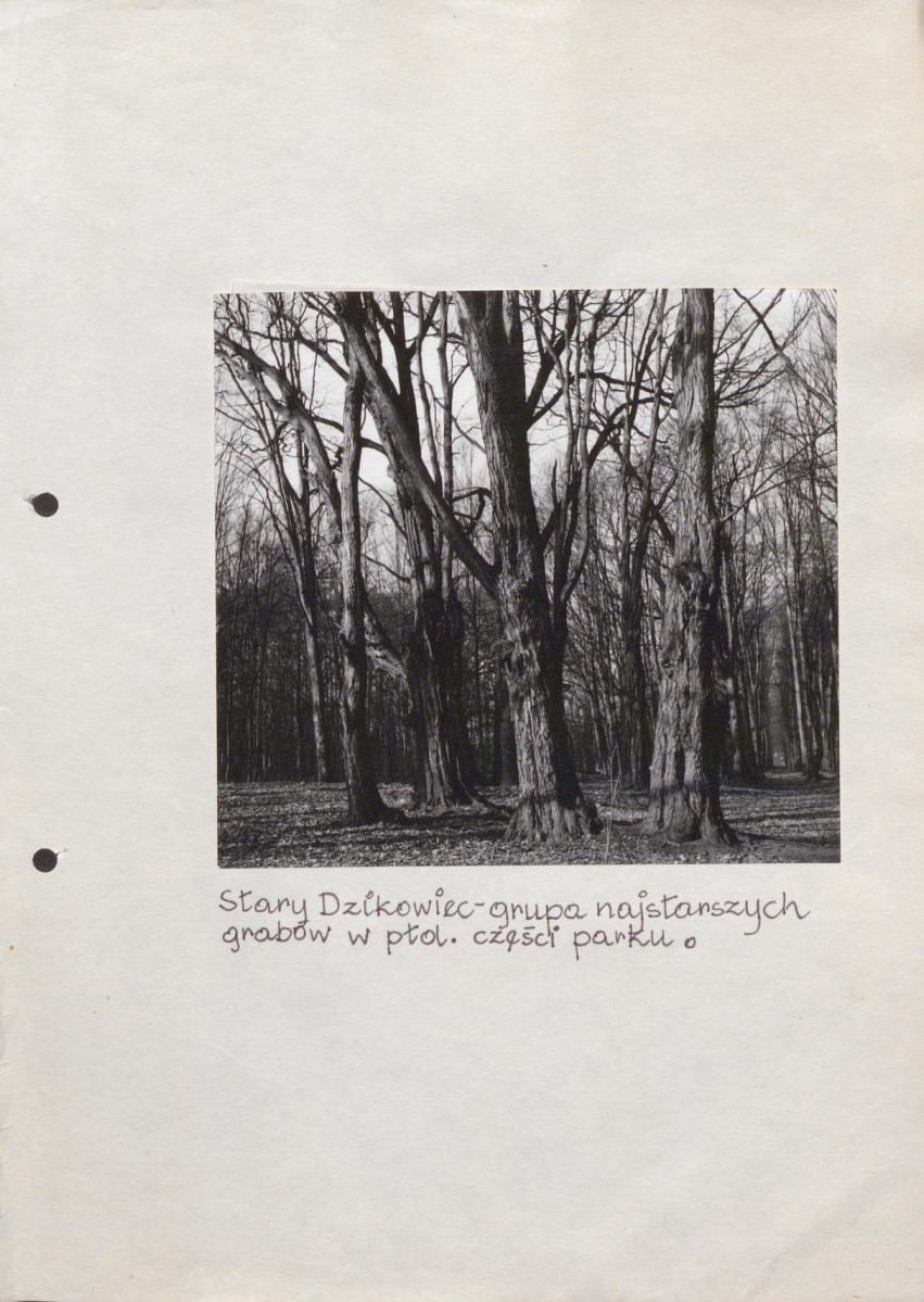 EP - Ewidencja parkowa, skan nr 62
