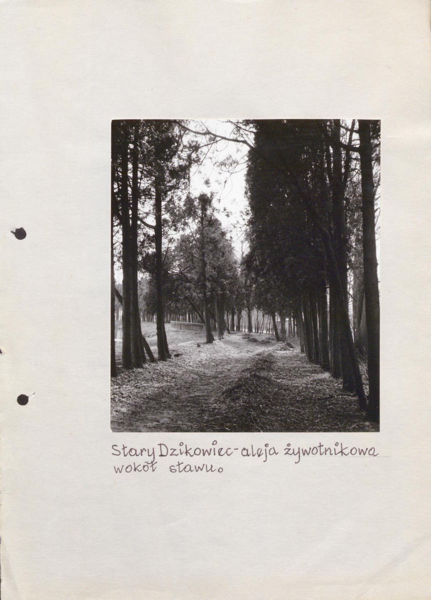 EP - Ewidencja parkowa, skan nr 63
