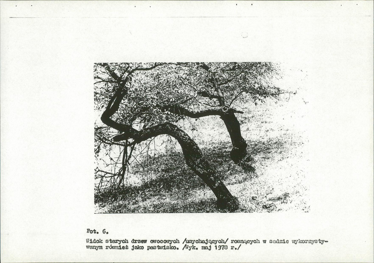 EP - Ewidencja parkowa, skan nr 32