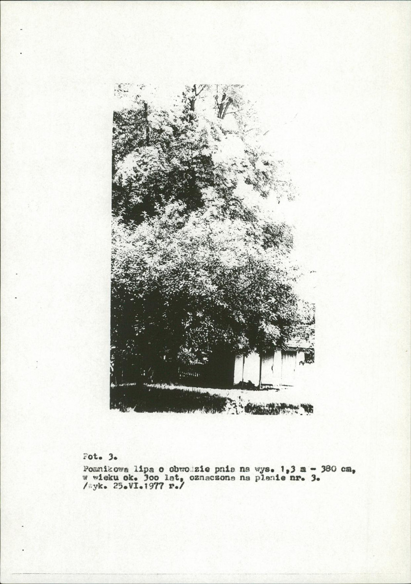 EP - Ewidencja parkowa, skan nr 16