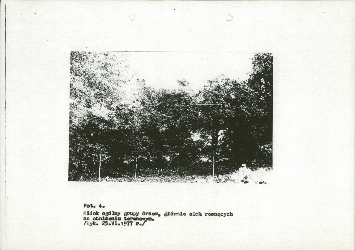 EP - Ewidencja parkowa, skan nr 17