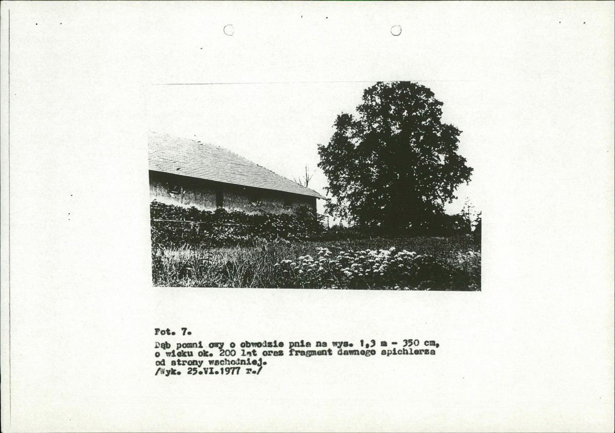 EP - Ewidencja parkowa, skan nr 20