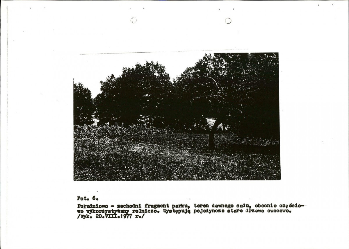 EP - Ewidencja parkowa, skan nr 23