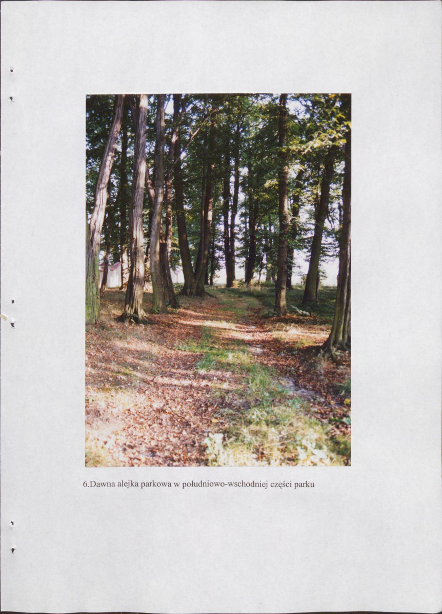 EP - Ewidencja parkowa, skan nr 45