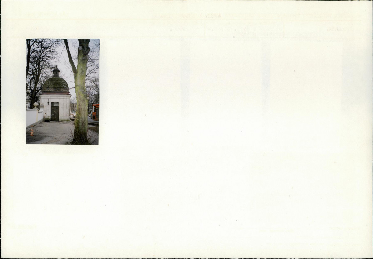 Karta biała, skan nr 8