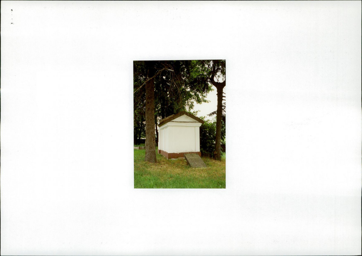 Karta zielona, skan nr 4