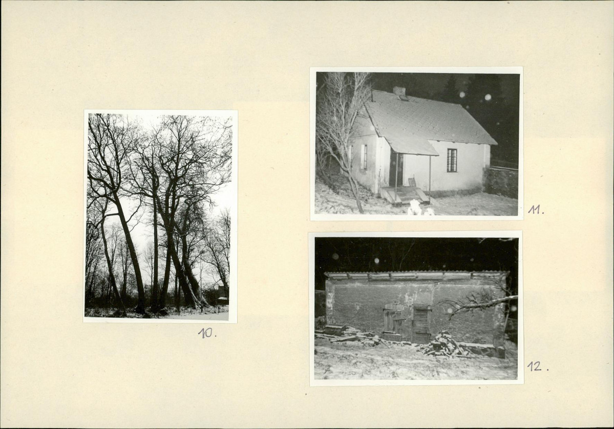 Karta biała, skan nr 12