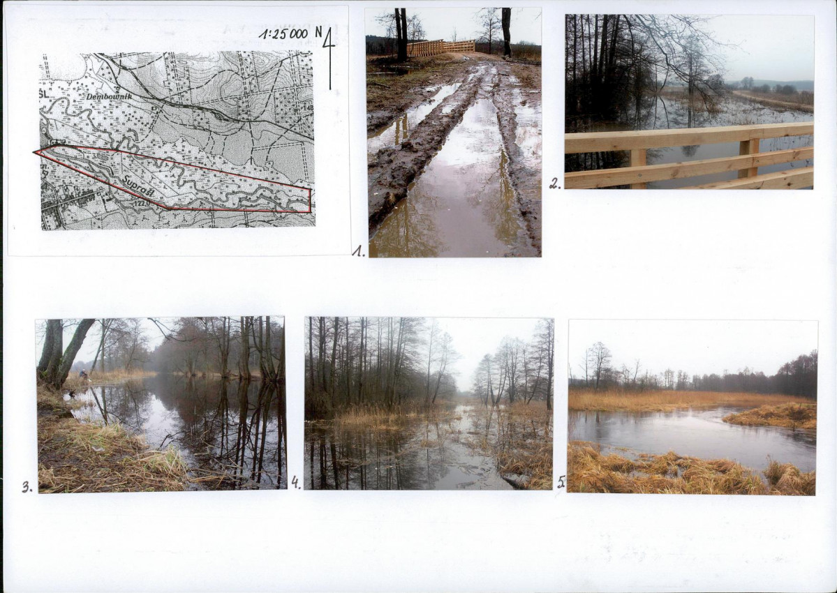 Karta biała, skan nr 6