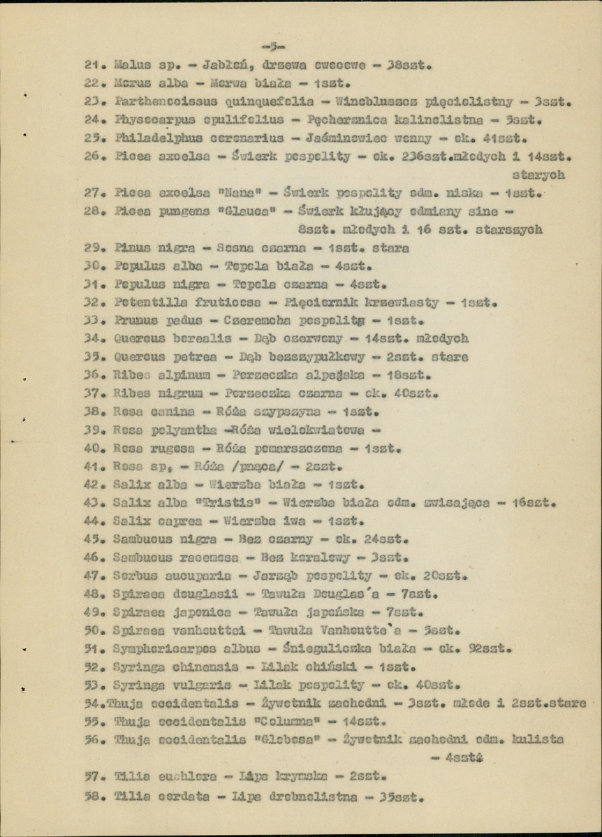 Ewidencja parkowa, skan nr 10