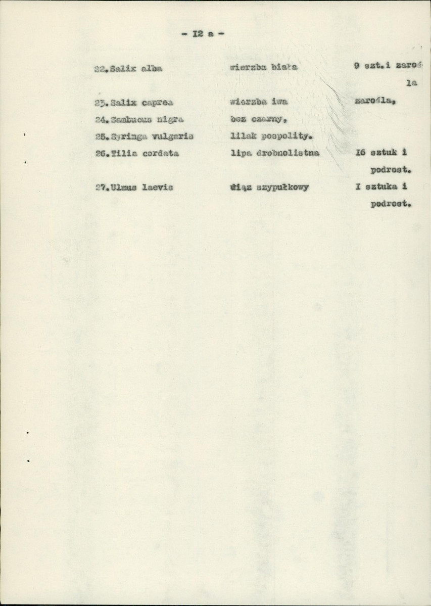 EP - Ewidencja parkowa, skan nr 19