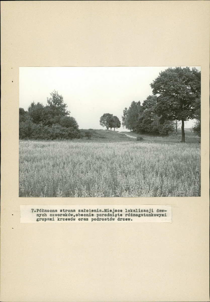 EP - Ewidencja parkowa, skan nr 29