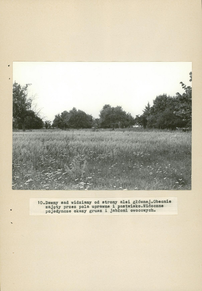 EP - Ewidencja parkowa, skan nr 32