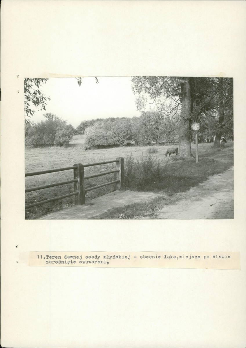 EP - Ewidencja parkowa, skan nr 33