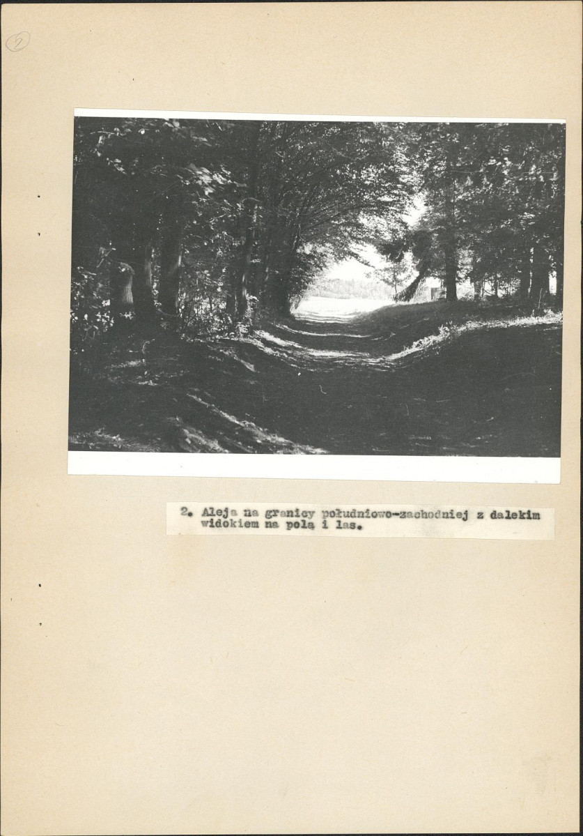 EP - Ewidencja parkowa, skan nr 21