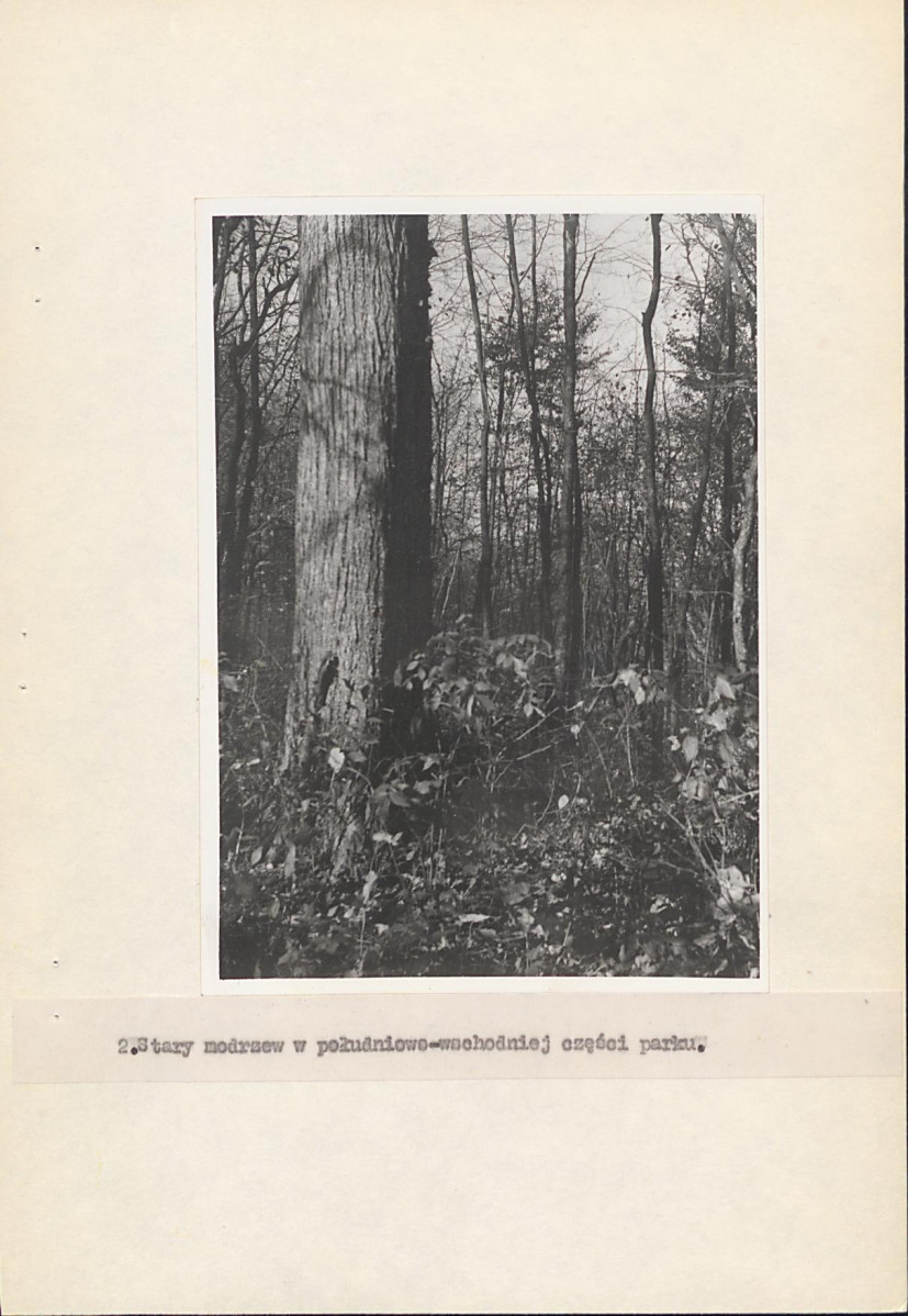 EP - Ewidencja parkowa, skan nr 18