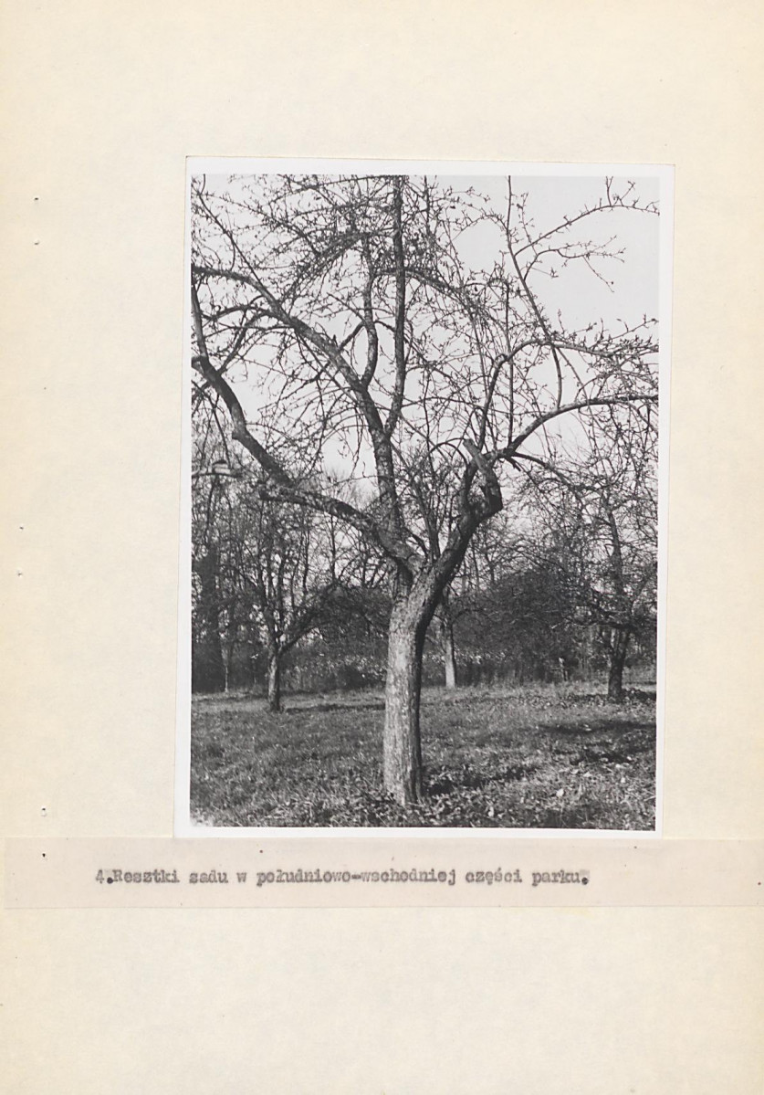 EP - Ewidencja parkowa, skan nr 20