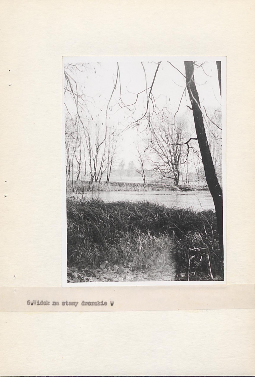EP - Ewidencja parkowa, skan nr 22