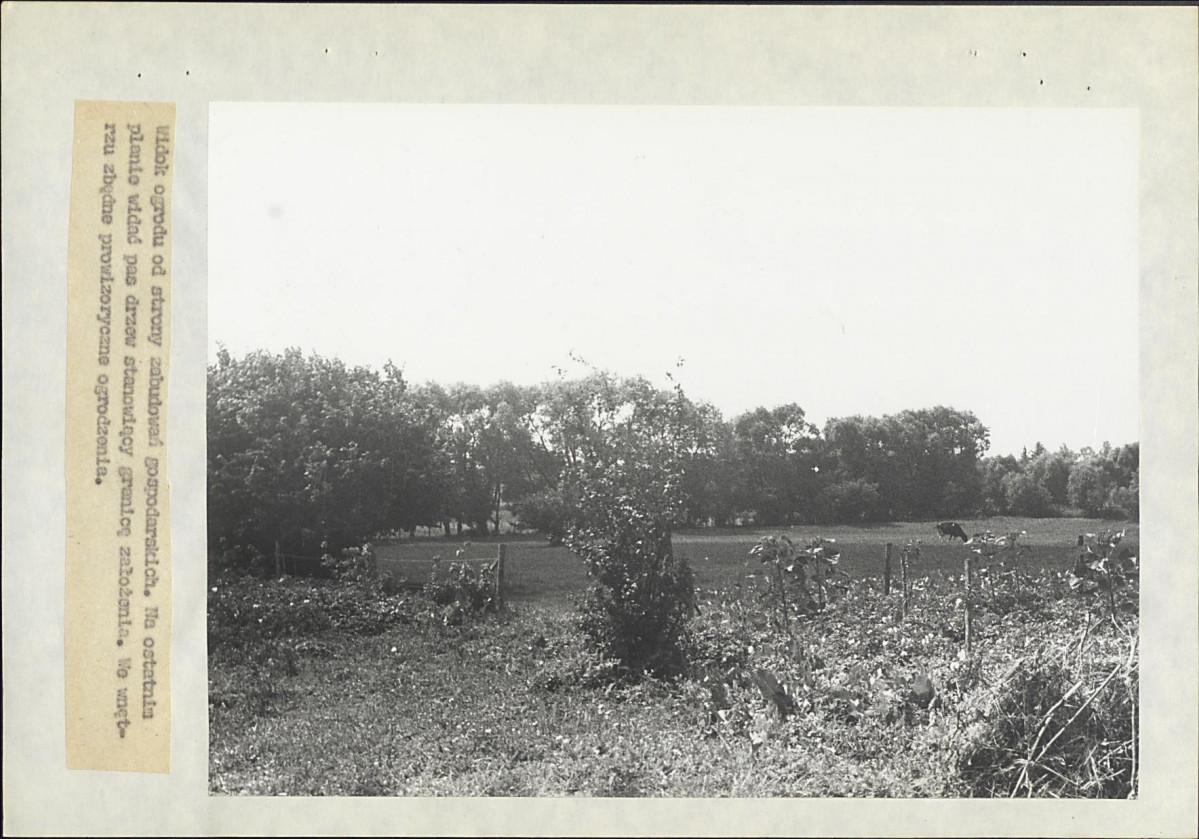 Ewidencja parkowa, skan nr 19