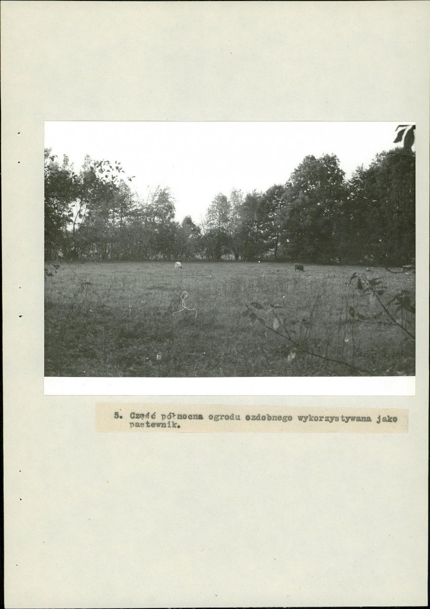 Ewidencja parkowa, skan nr 32