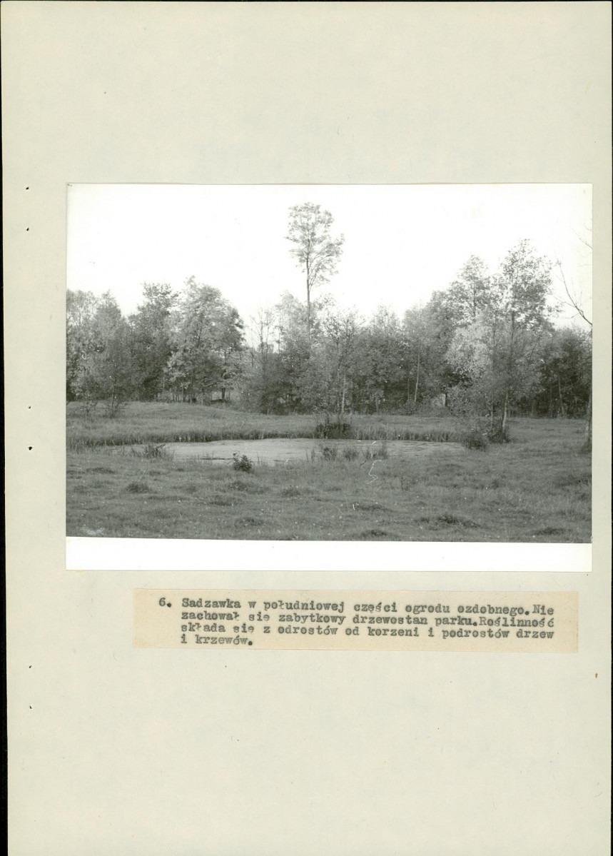 Ewidencja parkowa, skan nr 33