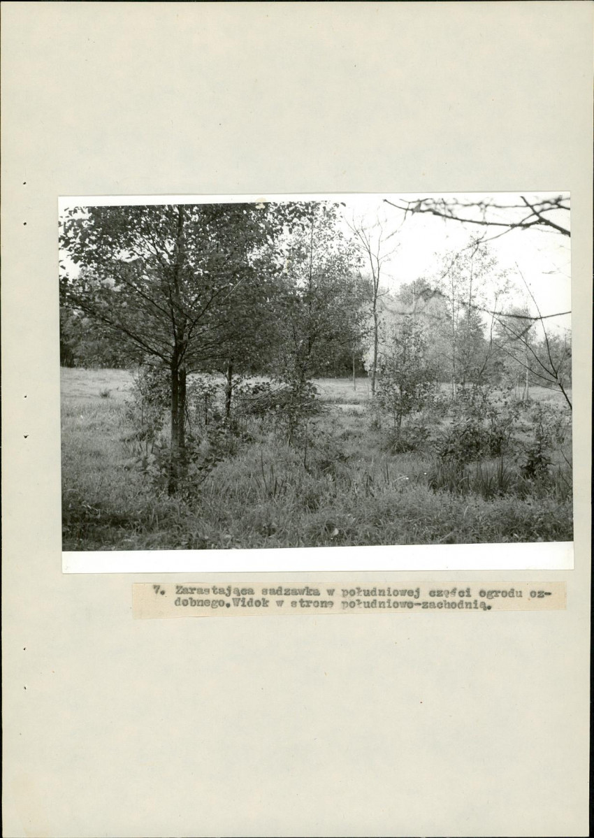 Ewidencja parkowa, skan nr 34