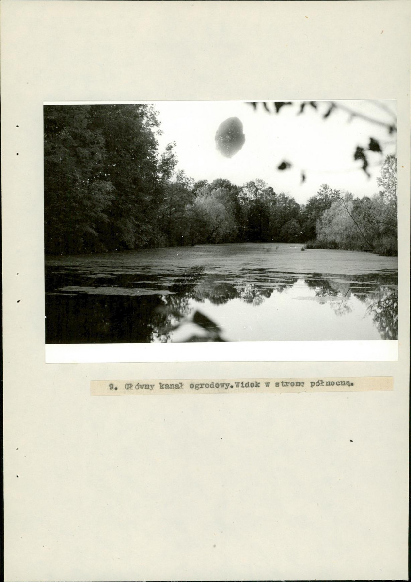 Ewidencja parkowa, skan nr 36