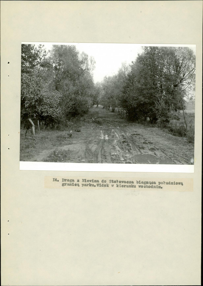Ewidencja parkowa, skan nr 41