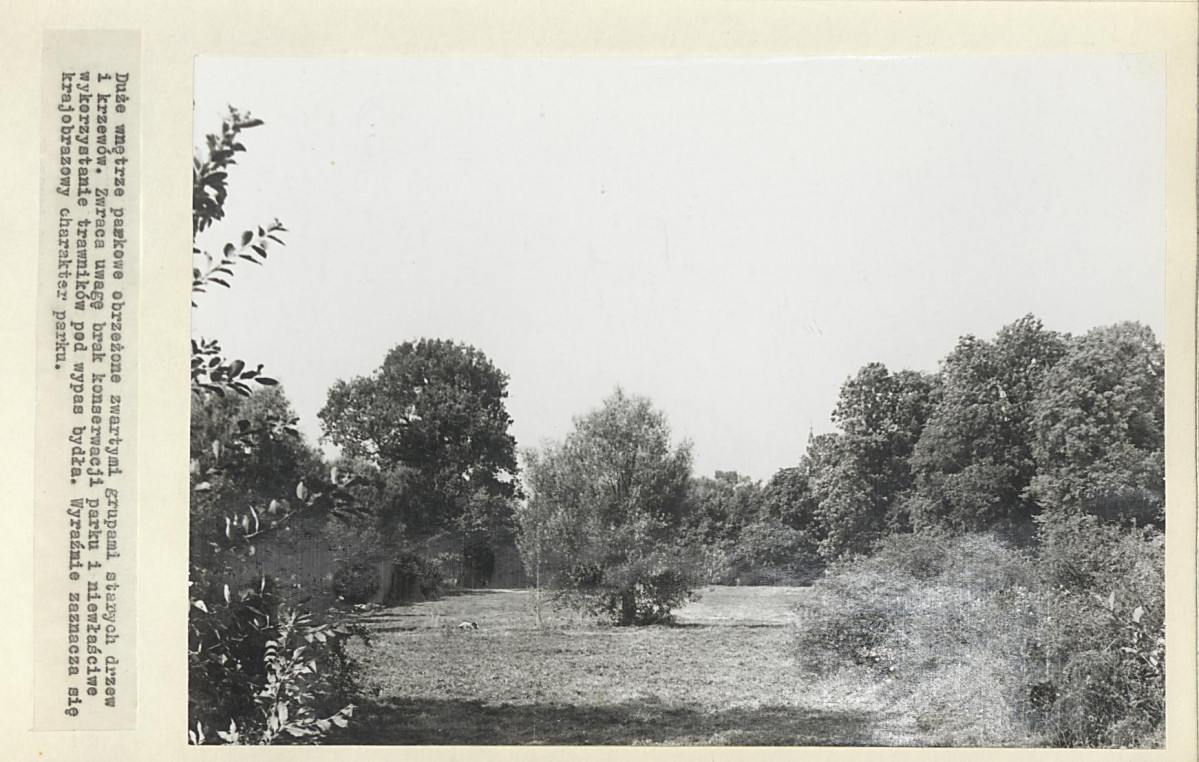 Ewidencja parkowa, skan nr 18