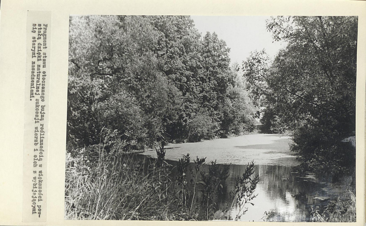 Ewidencja parkowa, skan nr 19