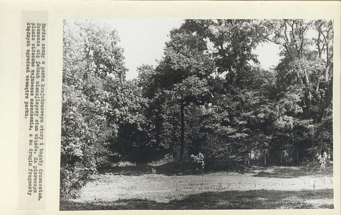 Ewidencja parkowa, skan nr 20