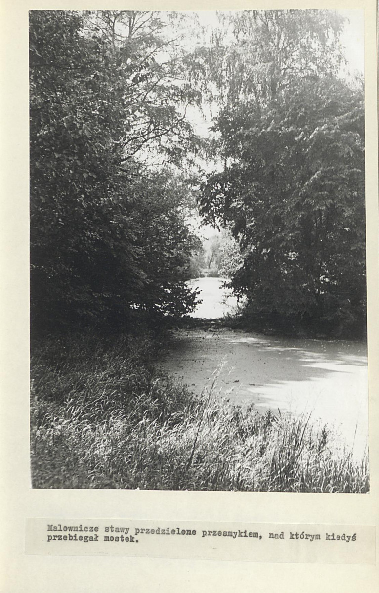 Ewidencja parkowa, skan nr 21