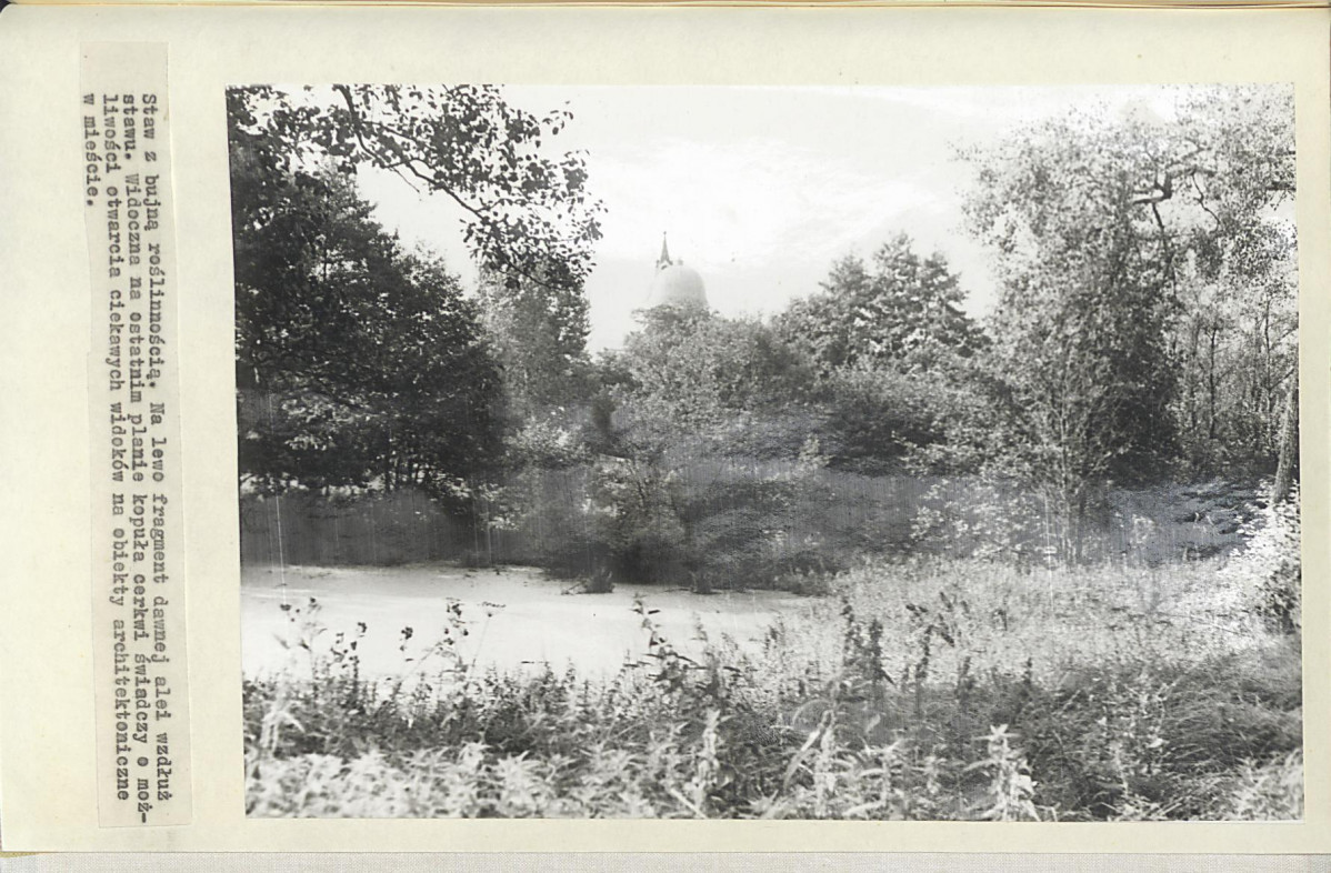 Ewidencja parkowa, skan nr 23