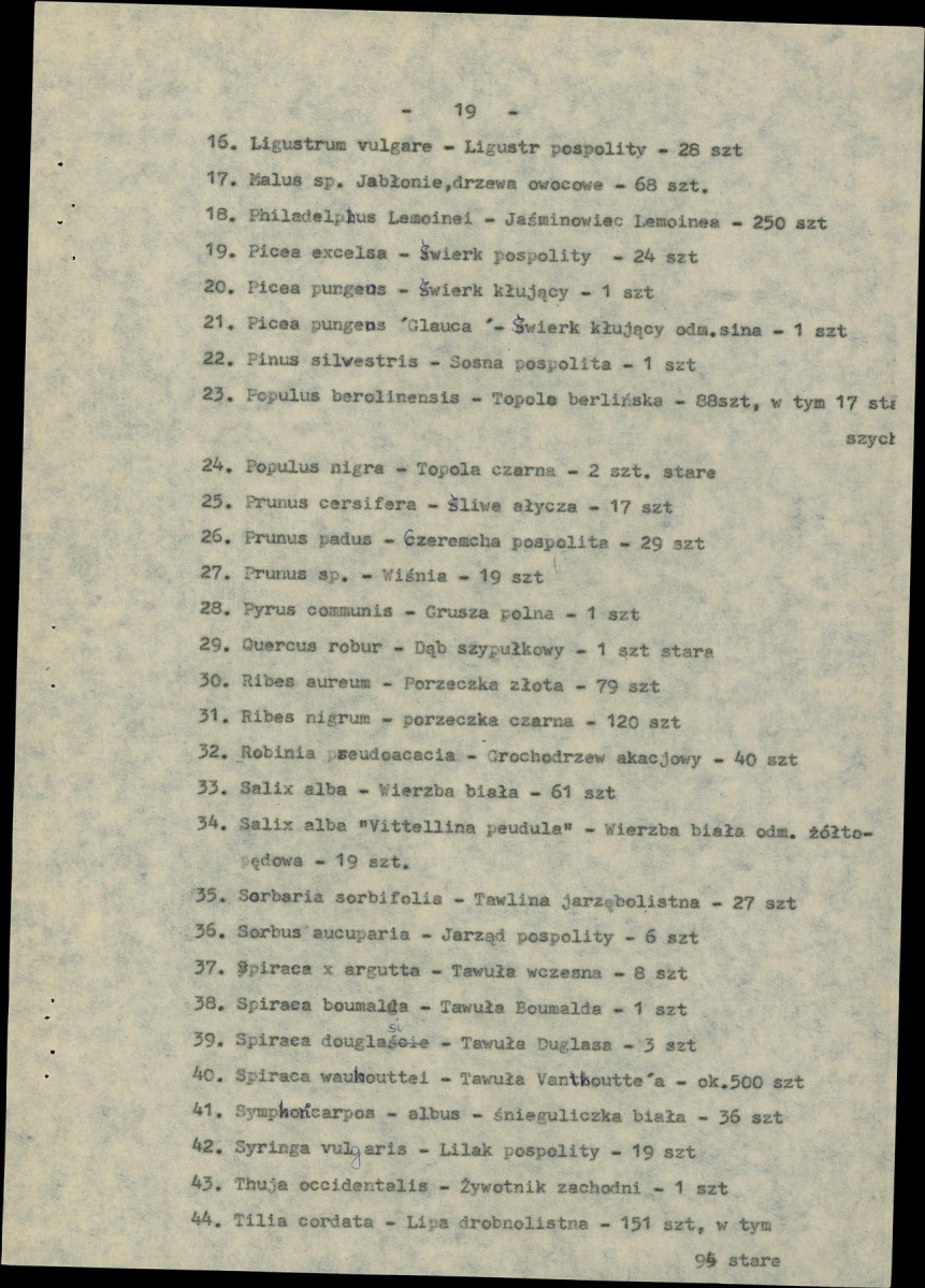 Ewidencja parkowa, skan nr 25